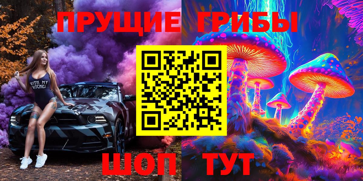 Псилоцибиновые грибы Cubensis Можга